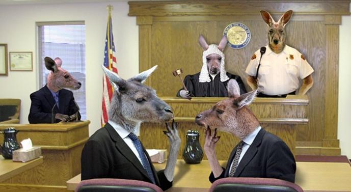 Disorder in the Courts – By: Charles M. Sevilla
