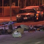 Homeless Woman Killed in Hit and Run